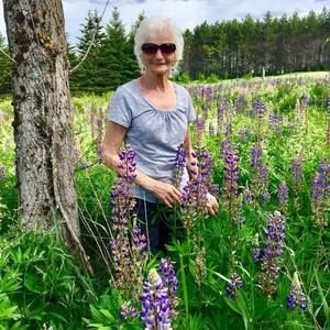 Meet your Posher, Ann